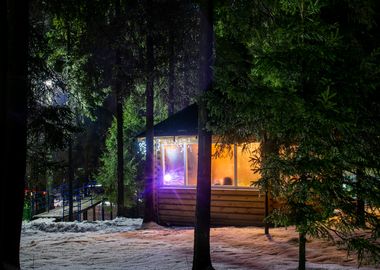 Новогодняя ночь в беседке