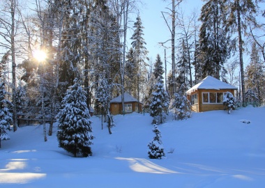 Новогоднее размещение